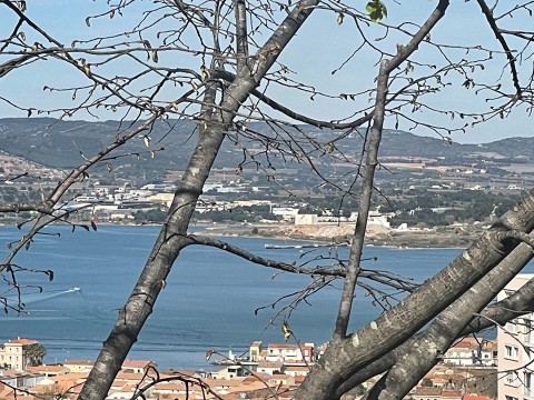 Vente Terrain, 835 m2 à Sète (34200)