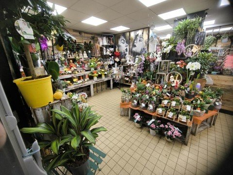 Vente Fleuriste, 85 m2 à Épouville (76133) en France