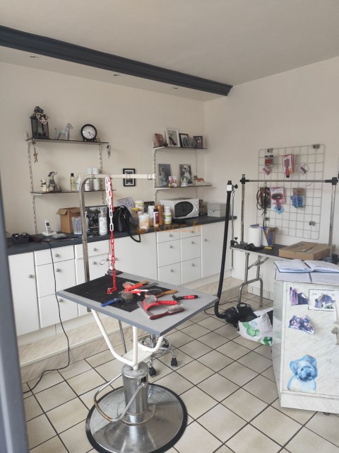 Vente Toilettage, 30 m2 dans le centre ville, à Doudeville (76560)