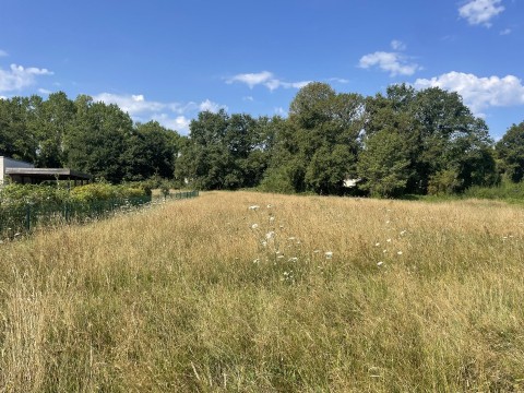 Vente Terrain de 4500 m2 au calme, à Brignac-la-Plaine (19310)