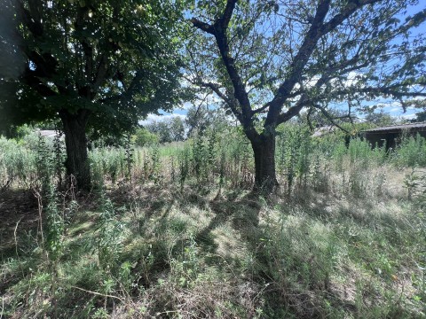 Vente Terrain constructible de 560 m2 à Cugnaux (31270)