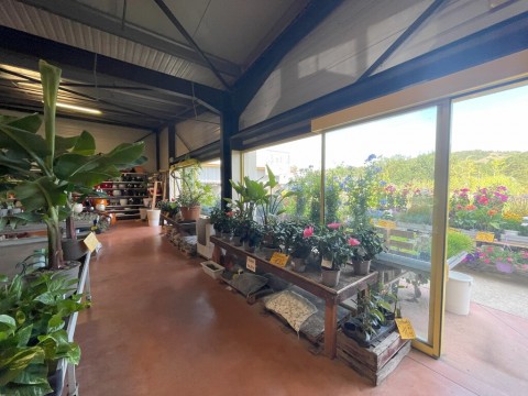 Vente Jardinerie, 600 m2 à Carcassonne (11000)