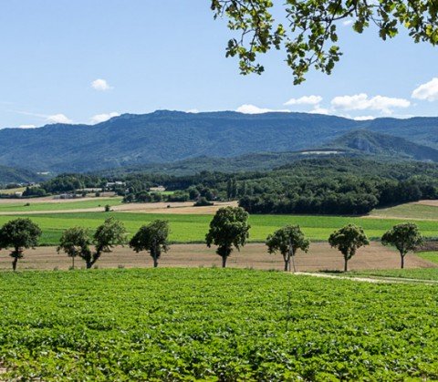 Vente Bar, Gîte, Organisation de réception avec terrasse à Montélimar (26200)