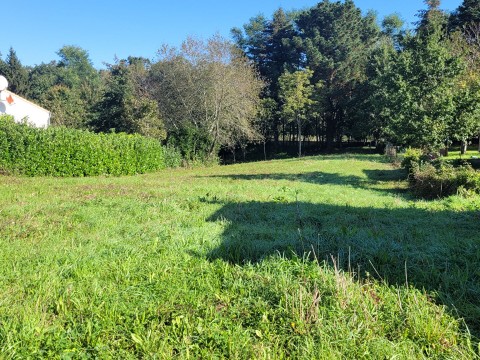 Vente Terrain, 550 m2 à La Roche-sur-Yon (85000) en France