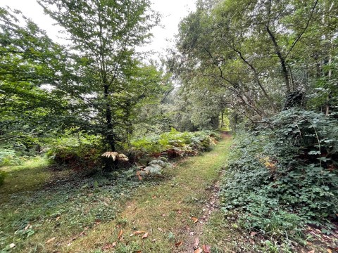 Vente Terrain à Objat (19130) en France