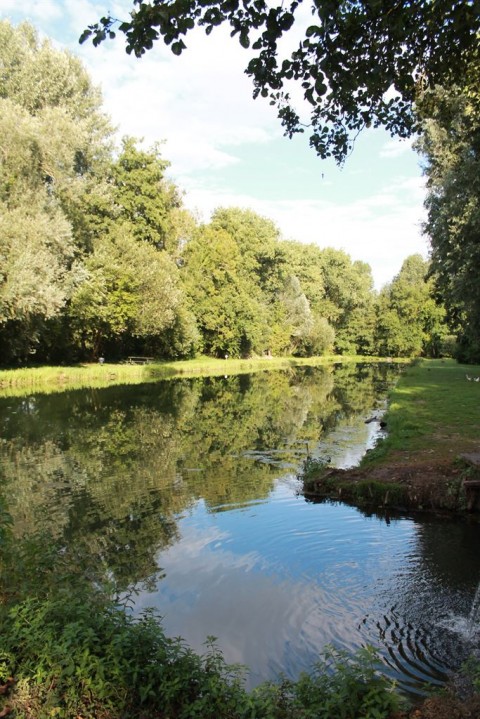 Vente Pisciculture et restaurant près de Péronne (80200)