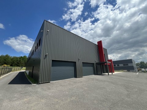 Vente Bureaux / Locaux professionnels, 1260 m2 à Fronton (31620) en France