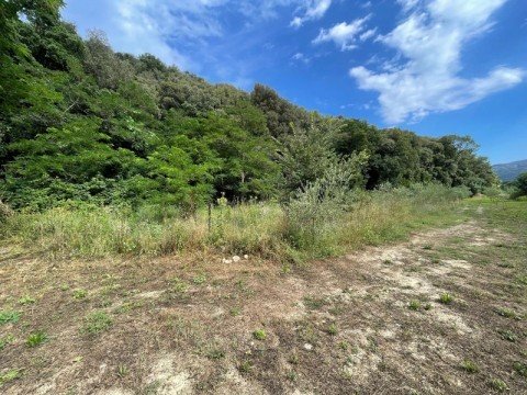 Vente Local commercial , 135 m2 dans les Alpes Maritimes (06) en France