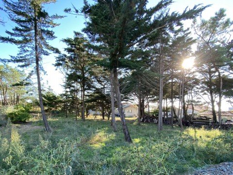 Vente Terrain à Brétignolles-sur-Mer (85470) en France