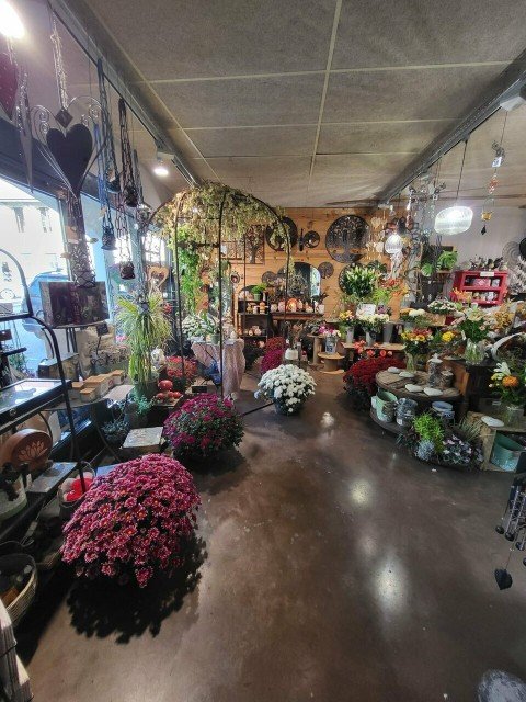 Vente Fleuriste, 890 pi2 en plein centre ville, à Aoste (38490) en France