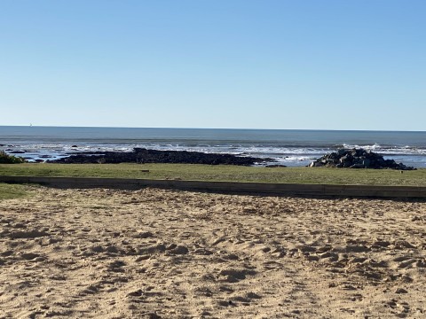 Vente Restaurant avec terrasse dans une zone touristique, à Brétignolles-sur-Mer (85470)