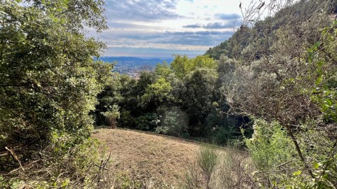 Vente Terrain, 1500 m2 à Grasse (06130)