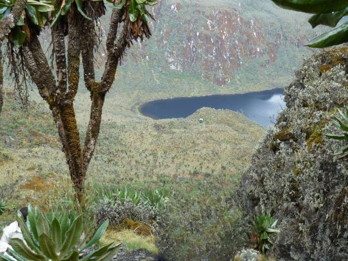 Vente Organisation de circuits de treks, randonnées, expéditions, découverte pédestre à La Réunion (974)