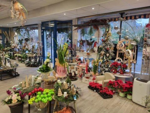 Vente Fleuriste, 100 m2 à Sarreguemines (57200)