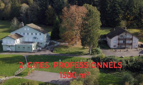 Vente Ensemble de deux gites de 1500 m2, à Combrimont (88490) en France