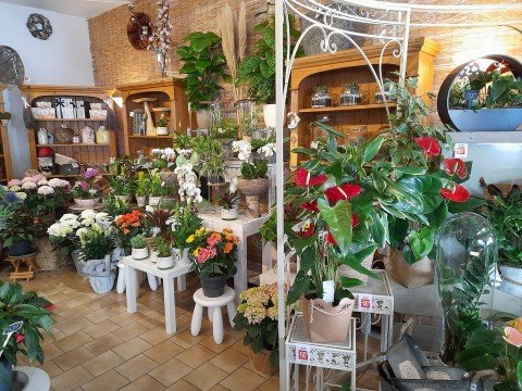 Vente Fleuriste, 2160 pi2 dans une zone dynamique, à La Ferté-Saint-Aubin (45240) en France