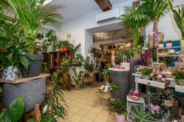 Vente Fleuriste dans une rue passante proche de Crémieu (38460) en France