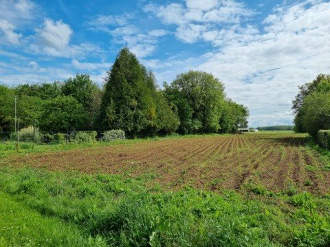 Vente Terrain, 1200 m2 à Châlette-sur-Loing (45120)