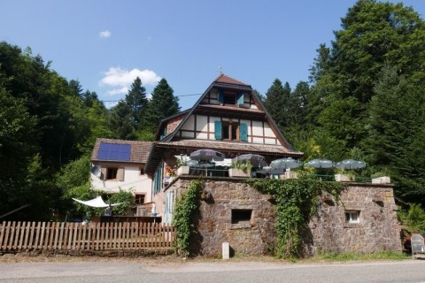 Vente Gîte, Auberge, Restaurant au calme, proche d'Obernai (67210) en France