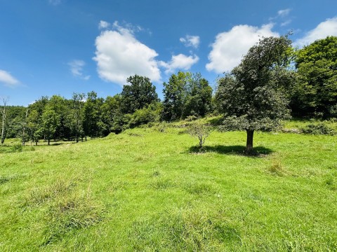 Vente Terrain, 2613 m2 à Seix (09140) en France