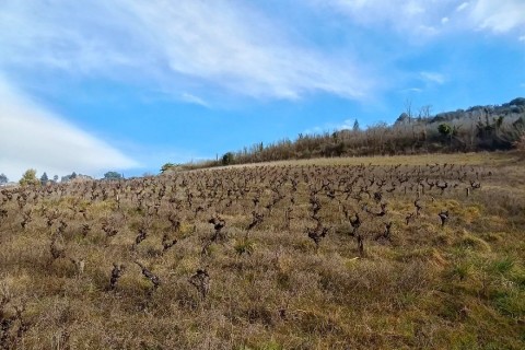 Vente Terrain à Albi (81000) en France