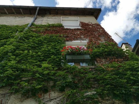 Vente Bar, Traiteur, Hôtel restaurant de 12 chambres avec terrasse à Bourganeuf (23400)