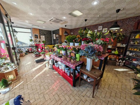 Vente Fleuriste, 80 m2 à Châteauroux sur une place commerçante (36000)