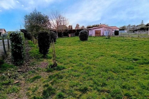 Vente Terrain à Gaillac (81600)