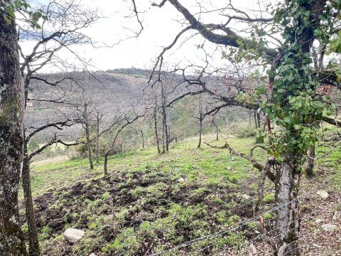 Vente Terrain à Figeac (46100)