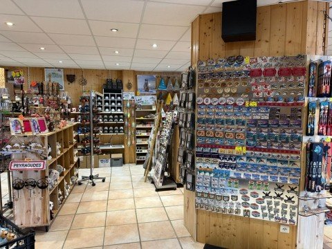 Vente Murs commerciaux, 113 m2 dans une station de sports d'hiver, à Germ (65510)